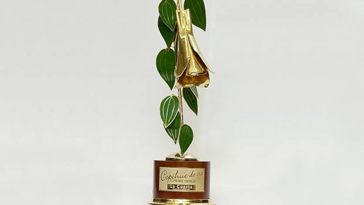 Copihue de Oro 2019: Cuándo y dónde ver la nueva versión vía streaming