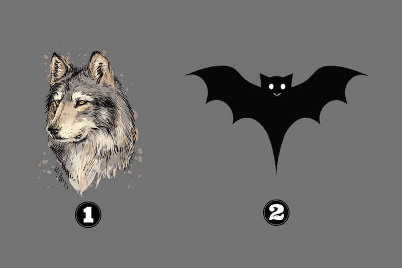 ¿Qué dice de ti la opción que prefieras?