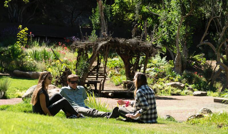 El Parque Tricao posee sitios tanto como para relajarse o vivir una gran aventura deportiva. Créditos: Parque Tricao.