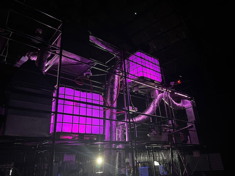 Mon Laferte creó una exposición de arte visual sentrada en la imagen de la mujer.