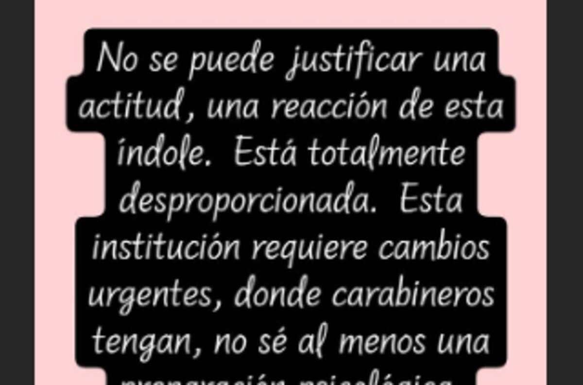 Ana Tijoux, Denise Rosenthal y Álex Anwandter lideran apoyo a joven que fue empujado al río Mapocho