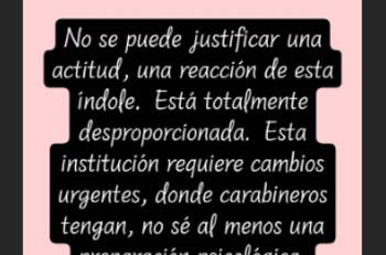 Ana Tijoux, Denise Rosenthal y Álex Anwandter lideran apoyo a joven que fue empujado al río Mapocho