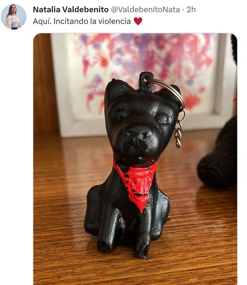 Tweet Natalia Valdebenito / Créditos: Twitter