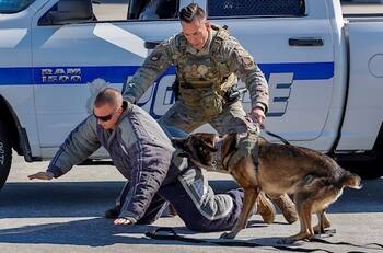 Fuertes medidas de seguridad de cara al Super Bowl del domingo en Florida
