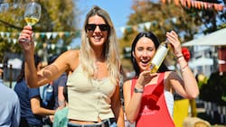 Vendimia Fest Santiago 2026 en Barrio Italia: fechas, precios y qué viñas participan