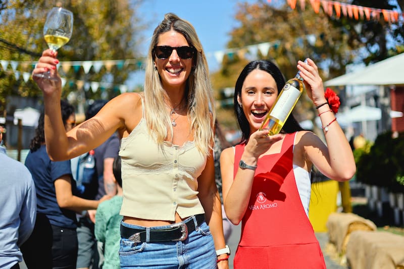 El panorama otoñal perfecto para ir en compañía en abril. Créditos: Aton Chile.