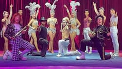 Panorama ideal para los más pequeños de la casa: Toda la magia del Circo de Las Estrellas Voladoras volvió a Lo Barnechea