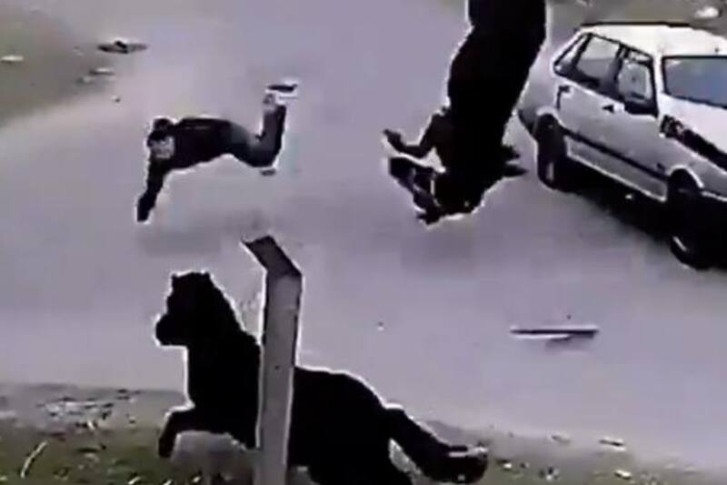 Registro del robo del caballo.