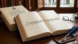 ¿Espagueti o spaguetti? La RAE aclara cuál es la forma correcta de escribirlo y los términos que no se pueden utilizar