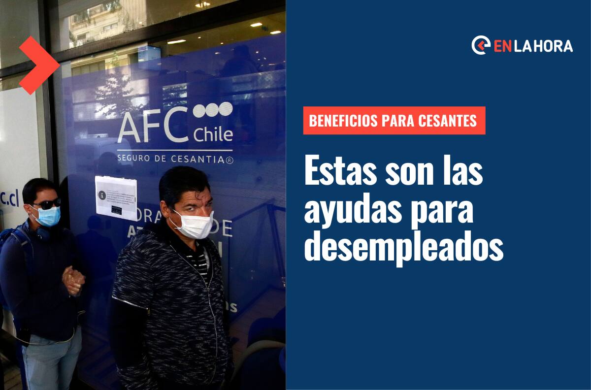Bonos para cesantes 2022: ¿A qué aportes puedo acceder si me encuentro desempleado?