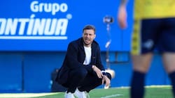 Atento Azul Azul: DT que la U buscó antes que Paqui Meneghini está en la cuerda floja en el fútbol brasileño