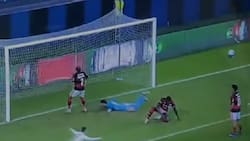 VIDEO | El gol de Sebastián Vargas que le dio el empate a Santiago Wanderers ante Flamengo en la Libertadores Sub 20