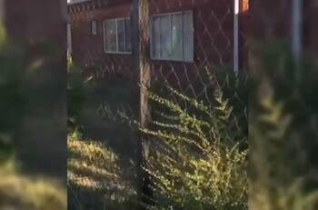 Guardia fue despedido por mantener relaciones íntimas al interior de hogar Aldeas Infantiles SOS