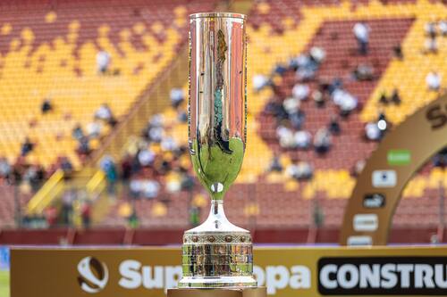 Existe un triple empate en el listado de clubes con más derrotas del fútbol chileno. Foto: Felipe Escobedo.