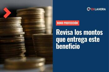 Bono Protección: Conoce con tu RUT si tienes el aporte de dos años y qué monto es