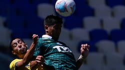 Juan Pablo Miño será baja en Santiago Wanderers para su duelo ante Palestino