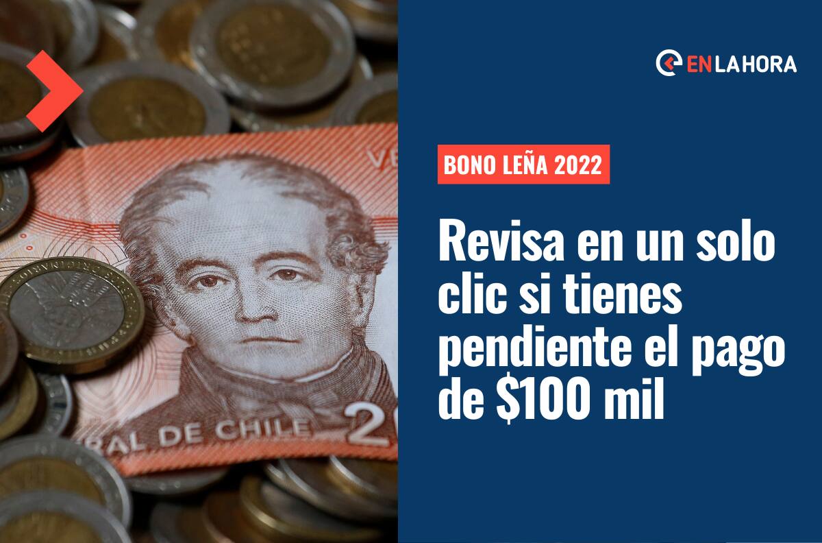 Bono Leña 2022: ¿Cómo saber si fui beneficiado con los $100 mil y si tengo pendiente su cobro?