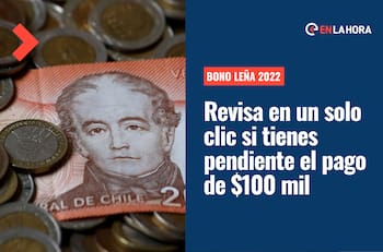 Bono Leña 2022: ¿Cómo saber si fui beneficiado con los $100 mil y si tengo pendiente su cobro?