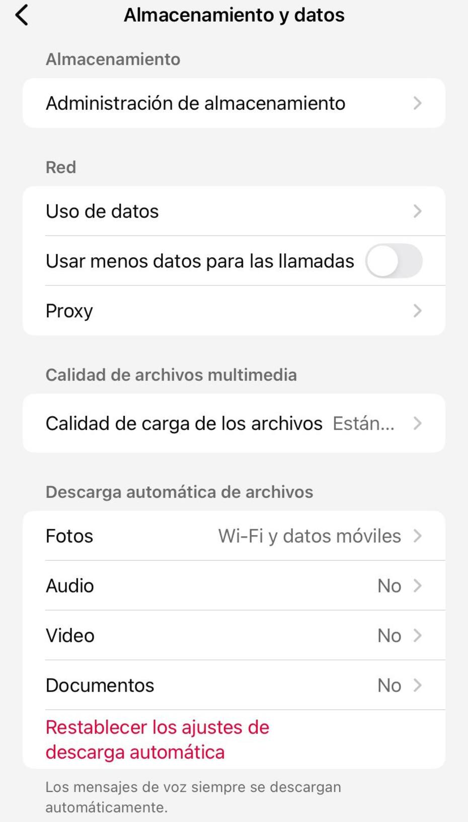 Así debe quedar tu configuración cuando deshabilitas la descarga automática en iPhone.