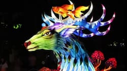 ¡Panorama imperdible! Festival de luces Tianfu tiene sus entradas a precios rebajados hasta el 05 de enero