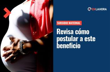 Subsidio Maternal: ¿Cómo postular a este bono y de qué manera se realiza el pago del mismo?