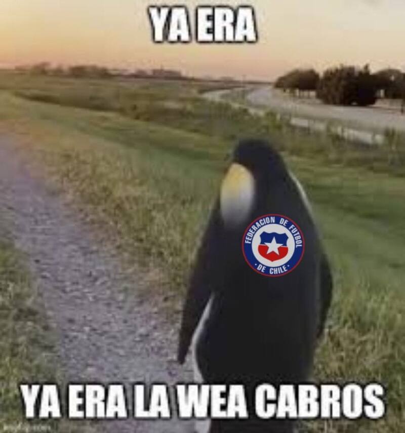 Los memes que salieron tras la derrota de La Roja ante Ecuador