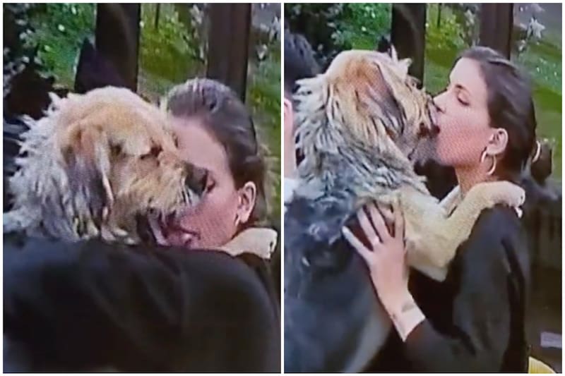 Constanza Capelli es duramente criticada por sus demostraciones con Bigote.