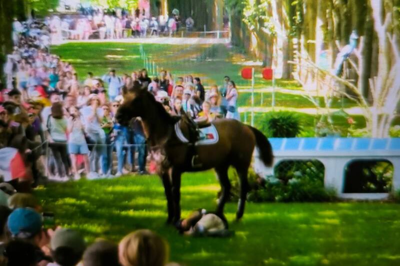 El jinete portugués Manuel Grave sufrió una caída en la prueba de Cross Country.