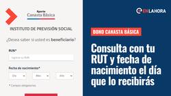 Bono Canasta Básica: ¿Cómo saber con mi RUT cuándo es el pago de noviembre y cuánto es el aporte?
