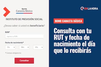 Bono Canasta Básica: ¿Cómo saber con mi RUT cuándo es el pago de noviembre y cuánto es el aporte?