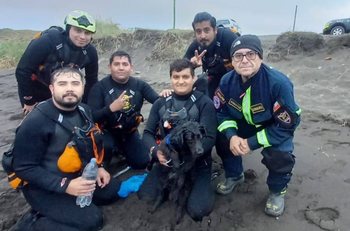 VIDEO | Rescatan a perrita que llevaba tres días atrapado en una roca de difícil acceso en Hualpén