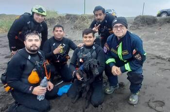 VIDEO | Rescatan a perrita que llevaba tres días atrapado en una roca de difícil acceso en Hualpén