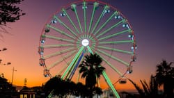 La Gran Rueda en Viña del Mar: Precios y horarios de este panorama en la Ciudad Jardín