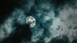 Desde la Luna del Lobo hasta una lluvia de estrellas: Tres eventos astronómicos que ocurrirán en enero