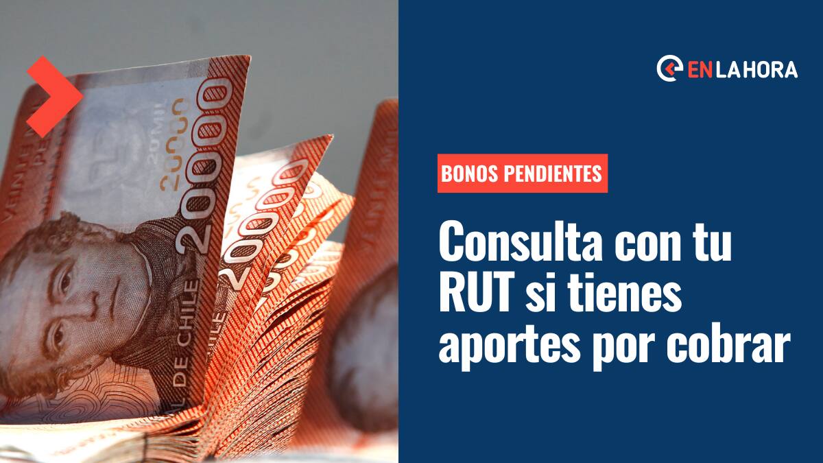 Bonos Pendientes: Consulta con tu RUT si tienes aportes del Estado por cobrar
