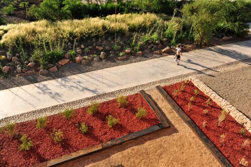 El jardín botánico cuenta con varios espacios para jugar, hacer deporte y conocer la fauna autóctona de la Región Metropolitana.