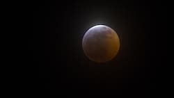 Eclipse total de luna en Chile: ¿Cuáles son los mejores horarios para verlo?