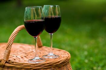 Vuelve la Fiesta de la Vendimia de Peñaflor: ¿Cuándo y dónde se realizará el evento?