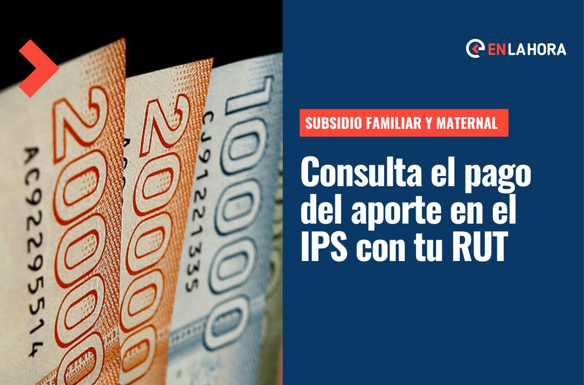 Asignación Familiar y Maternal: Conoce cómo solicitar el beneficio y consultar el pago con tu RUT