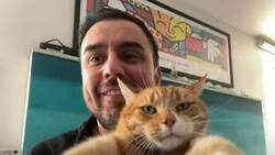 La accidentada presentación de César Campos en Mucho Gusto: no pudo ir al estudio por un golpe en su cabeza