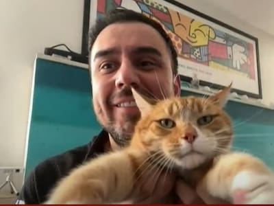 La accidentada presentación de César Campos en Mucho Gusto: no pudo ir al estudio por un golpe en su cabeza