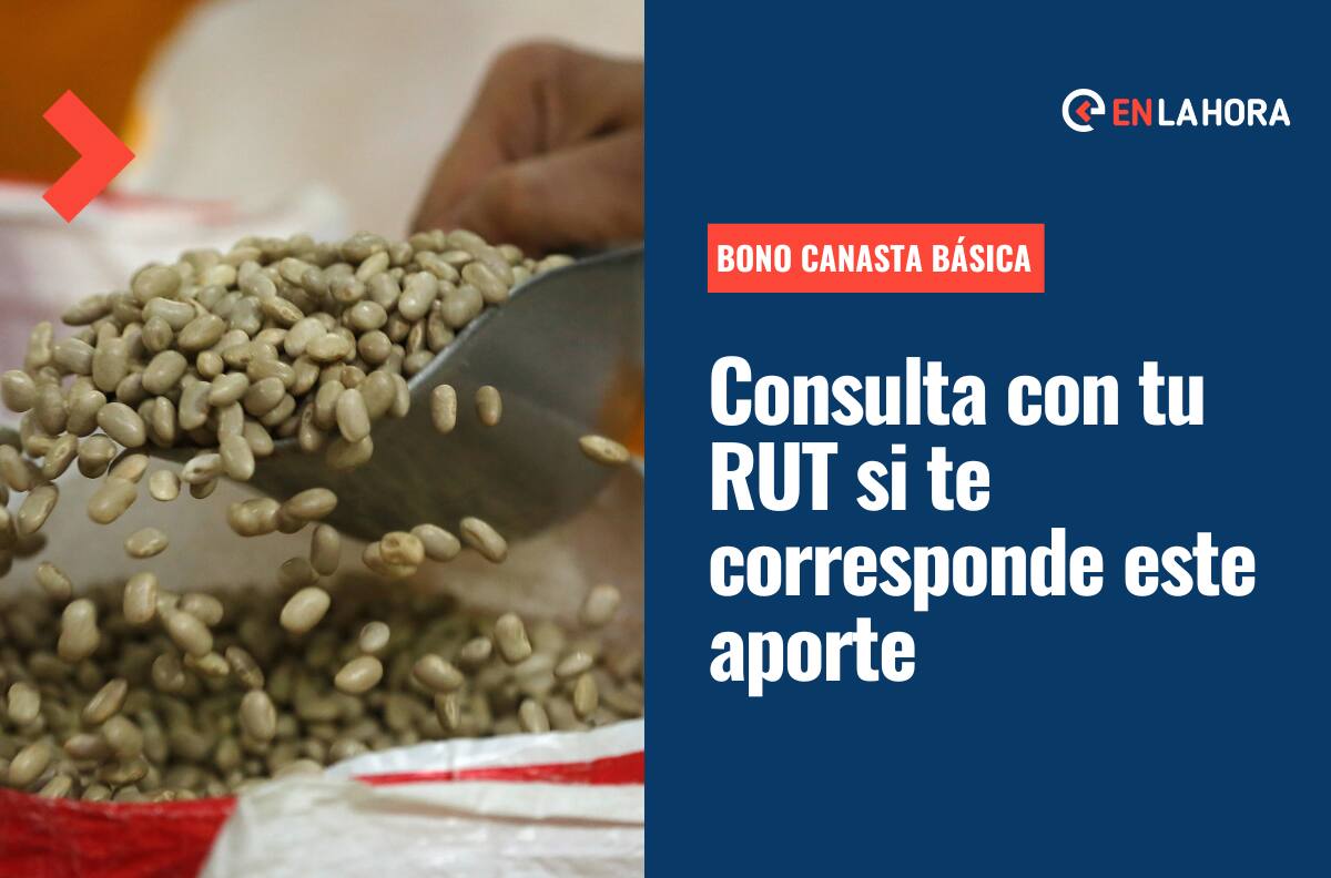 Bono Canasta Básica: Consulta con tu RUT si te corresponde el pago automático de este beneficio