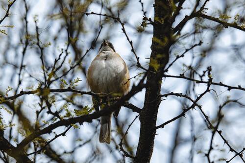 cuenta con una gran variedad de especies. Créditos: PasesParquesCL.