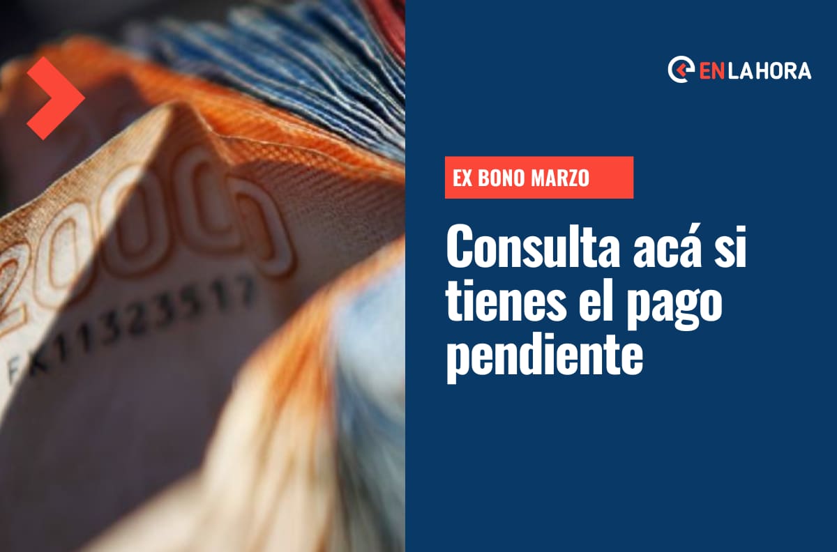 Ex Bono Marzo: Ingresa tu RUT para revisar si tienes pendiente el pago de $52 mil por carga