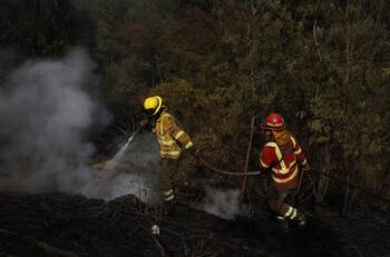 Incendios forestales en Pirque: Senapred decreta alerta roja en la zona