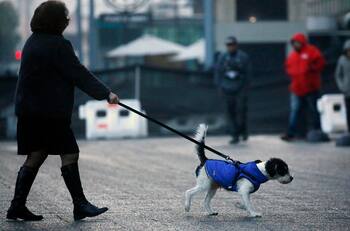 Hasta -4 grados: Emiten advertencia por heladas en 7 regiones del país