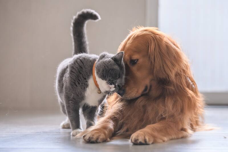 Conoce cuáles son los nombres que más se registran.