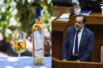 ¿Qué es el Pajarete y por qué su día nacional causa polémica en el Congreso?