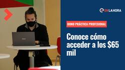 Beca Práctica Técnico Profesional: ¿Quiénes pueden acceder a los $65 mil y cómo postular a este beneficio?