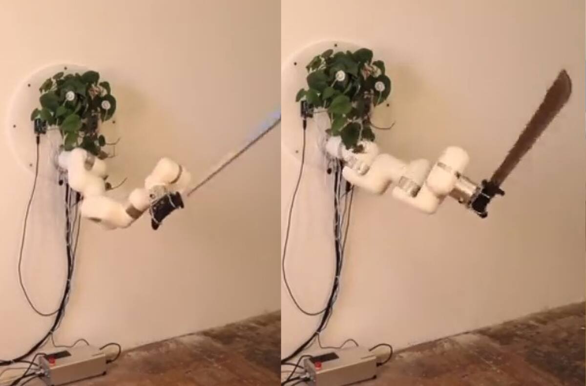 VIDEO | Planta puede manipular un brazo robot con machete: ¿Cómo se logró?